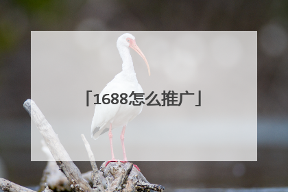 1688怎么推广