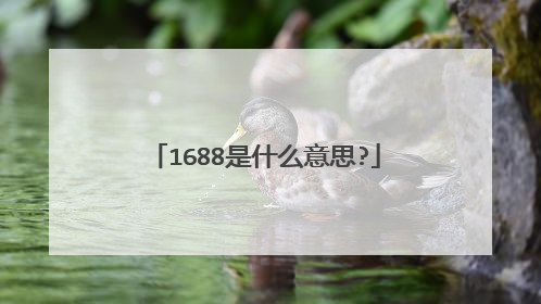 1688是什么意思?