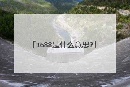 1688是什么意思?