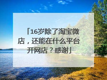 16岁除了淘宝微店,还能在什么平台开网店?感谢