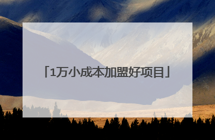 1万小成本加盟好项目