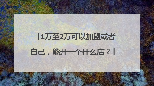 1万至2万可以加盟或者自己,能开一个什么店?