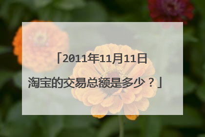2011年11月11日淘宝的交易总额是多少？