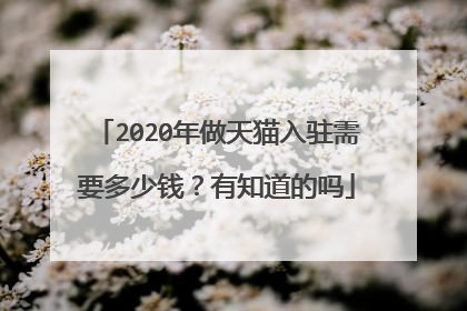 2020年做天猫入驻需要多少钱？有知道的吗