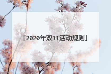 2020年双11活动规则