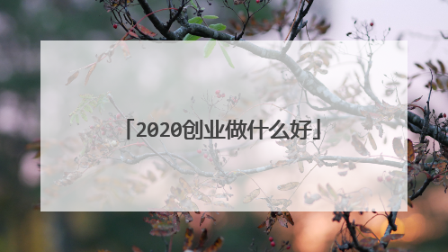 2020创业做什么好
