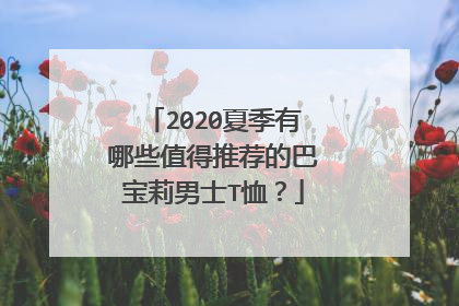 2020夏季有哪些值得推荐的巴宝莉男士T恤?