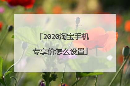 2020淘宝手机专享价怎么设置