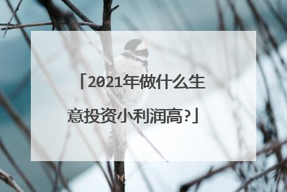 2021年做什么生意投资小利润高?
