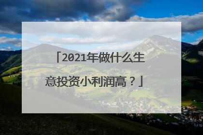 2021年做什么生意投资小利润高?