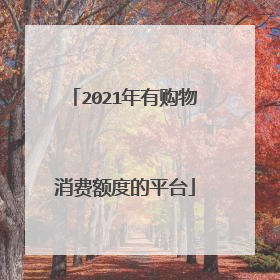 2021年有购物消费额度的平台