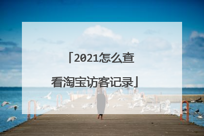 2021怎么查看淘宝访客记录