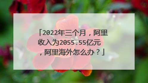 2022年三个月,阿里收入为2055.55亿元,阿里海外怎么办?