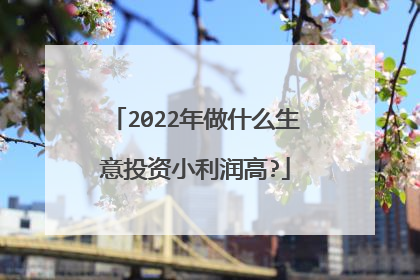 2022年做什么生意投资小利润高?