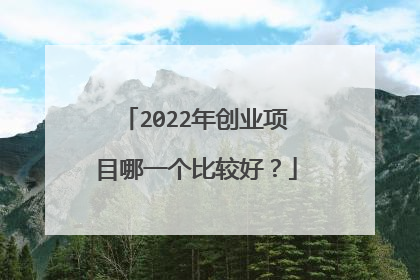 2022年创业项目哪一个比较好?