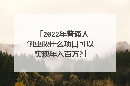 2022年普通人创业做什么项目可以实现年入百万?