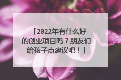 2022年有什么好的创业项目吗?朋友们给孩子点建议吧!