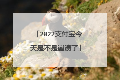2022支付宝今天是不是崩溃了