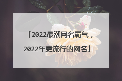 2022最潮网名霸气，2022年更流行的网名