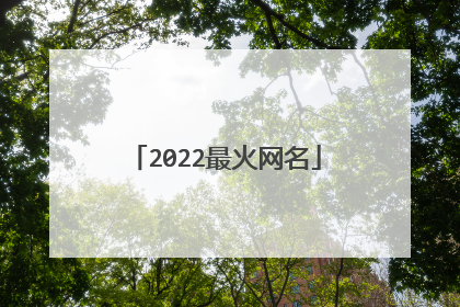 2022最火网名