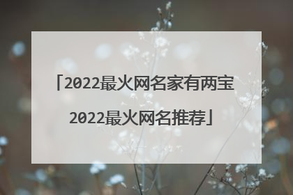 2022最火网名家有两宝 2022最火网名推荐