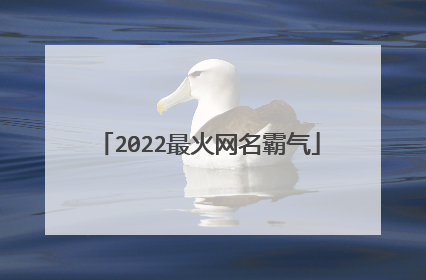 2022最火网名霸气