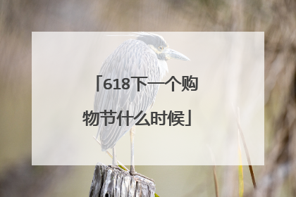 618下一个购物节什么时候