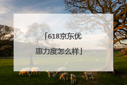 618京东优惠力度怎么样