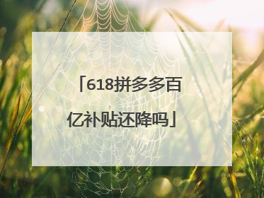 618拼多多百亿补贴还降吗