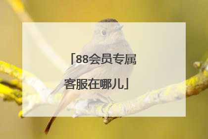 88会员专属客服在哪儿