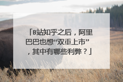 B站知乎之后,阿里巴巴也想“双重上市”,其中有哪些利弊?