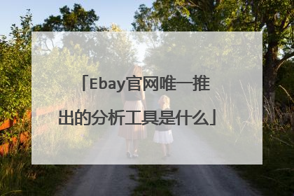 Ebay官网唯一推出的分析工具是什么