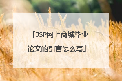 JSP网上商城毕业论文的引言怎么写