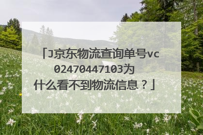 J京东物流查询单号vc02470447103为什么看不到物流信息?