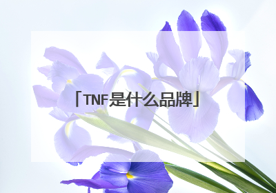 TNF是什么品牌