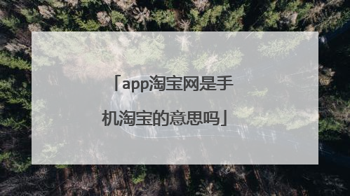 app淘宝网是手机淘宝的意思吗