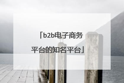 b2b电子商务平台的知名平台