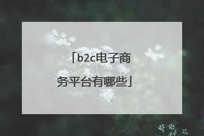 b2c电子商务平台有哪些