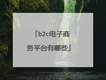 b2c电子商务平台有哪些