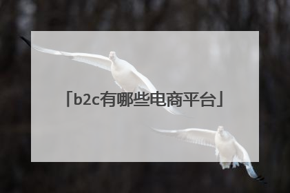 b2c有哪些电商平台