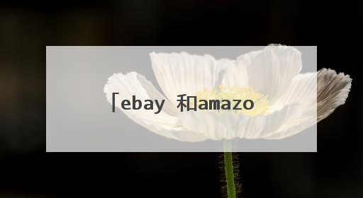 ebay 和amazon亚马逊有什么区别?