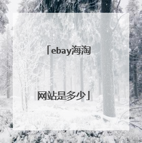 ebay海淘网站是多少