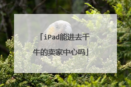 iPad能进去千牛的卖家中心吗