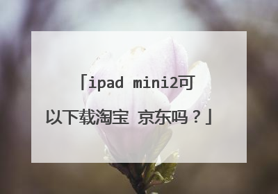 ipad mini2可以下载淘宝 京东吗?