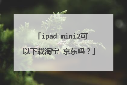ipad mini2可以下载淘宝 京东吗?