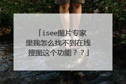 isee图片专家里我怎么找不到在线搜图这个功能??
