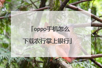 oppo手机怎么下载农行掌上银行