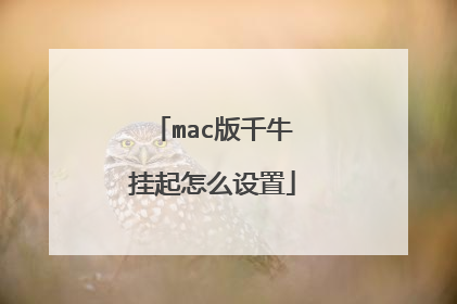 mac版千牛挂起怎么设置