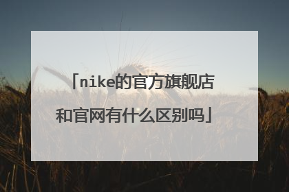 nike的官方旗舰店和官网有什么区别吗