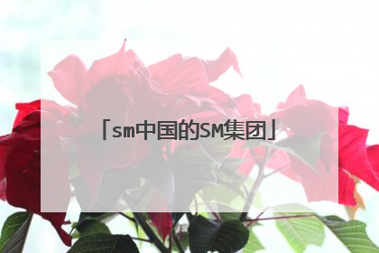 sm中国的SM集团